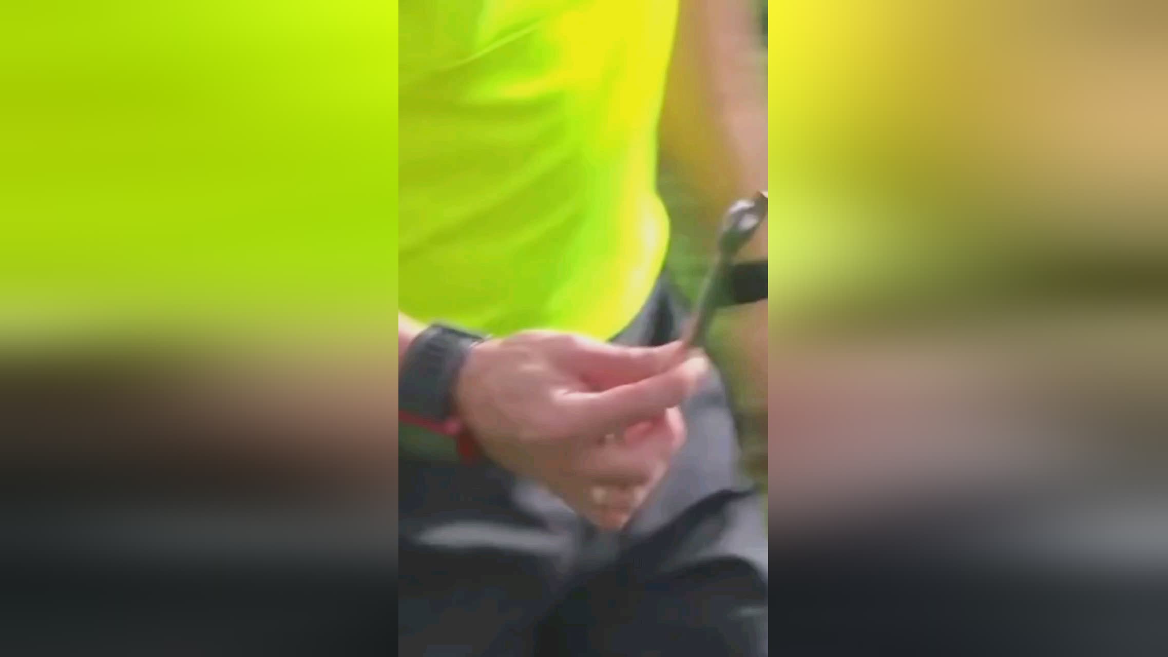 纳斯